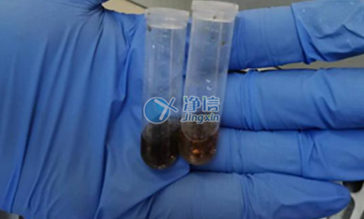 上海凈信高通量研磨儀能否助力蟲媒病毒研究實驗？